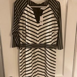 Black & White NY&Co dress